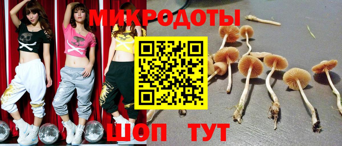Псилоцибиновые грибы мухоморы  Вход с VPN  Сухой Лог 